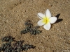 namibia-allgemein002