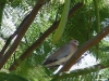 namibia-allgemein006