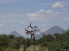 namibia-allgemein009
