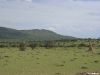 namibia-allgemein019
