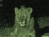 namibia-allgemein042