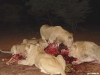 namibia-allgemein045