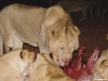 namibia-allgemein047