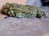 namibia-allgemein052