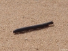 namibia-allgemein054