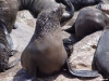 namibia-capecross007