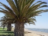 namibia-kueste001