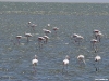 namibia-kueste003