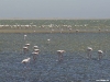 namibia-kueste004
