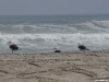 namibia-kueste006