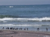namibia-kueste018