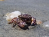 namibia-kueste019