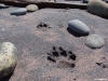 namibia-kueste025